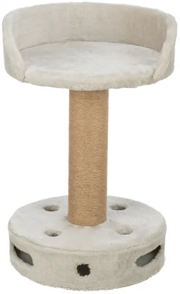 Kratzbaum Dalia